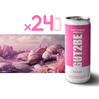 24x GUT2BE Daheim-Qualität CRAFT PREMIUM-Kombucha fermentierter Tee - Meereskollagen