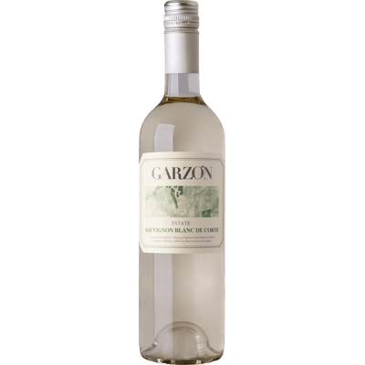 2024 Garzón Sauvignon blanc - White wine