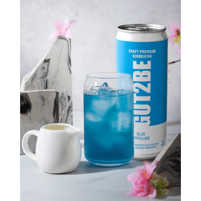 24x GUT2BE Daheim-Qualität PREMIUM-Kombucha fermentierter Tee - Blaue Spirulina