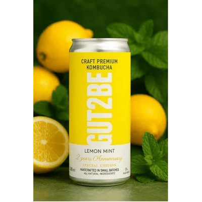 24x GUT2BE Selbstgebrautes PREMIUM-Kombucha Zitronensaft & Minze