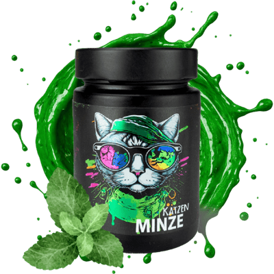 KATZENMINZE Pfefferminz Senf