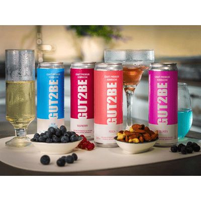 12x GUT2BE CRAFT PREMIUM-Kombucha fermentierter Tee - Zitronensaft & Minze