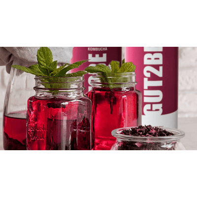 12x GUT2BE Selbstgebrautes PREMIUM-Kombucha Himbeere
