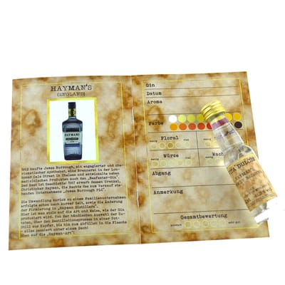 Gin Tasting Set | Geschenkset | Probierset: Weltklasse (6x Gin Minis) | Vita Dulcis