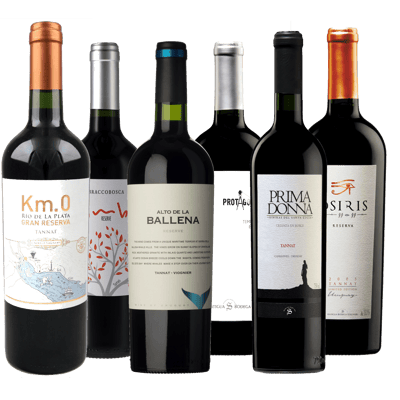 Weihnachten in Uruguay – Deluxe Rotweinpaket