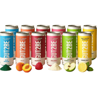 GUT2BE CRAFT PREMIUM-Kombucha fermentierter Tee 12er-Probierset Mix