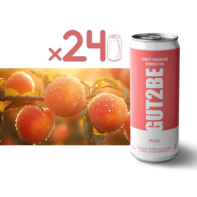 24x GUT2BE CRAFT PREMIUM-Kombucha fermentierter Tee - Pfirsich