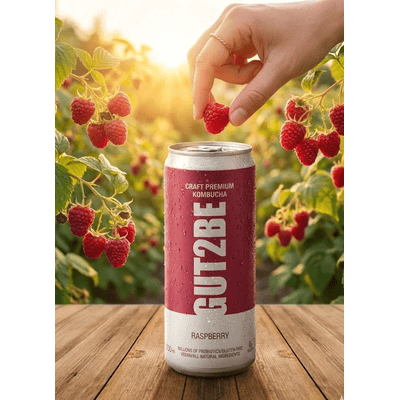 12x GUT2BE Daheim-Qualität CRAFT PREMIUM- DER ANDERE HOMEMADE Kombucha ( keine Pulvermischungen ) frisch & bezaubernd