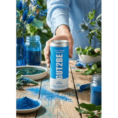 12x GUT2BE Daheim-Qualität CRAFT PREMIUM-Kombucha fermentierter Tee - Blaue Spirulina