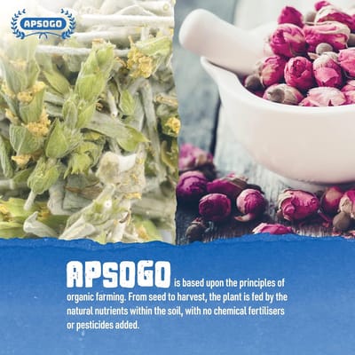 APSOGO Griechischer Bio-Bergtee mit Rosenblüten