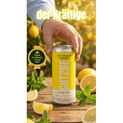 24x GUT2BE home quality CRAFT PREMIUM Kombucha fermented tea - lemon juice & mint
