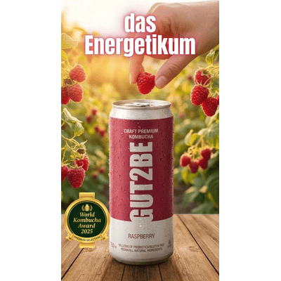 24x GUT2BE Daheim-Qualität CRAFT PREMIUM-Kombucha fermentierter Tee - Himbeere
