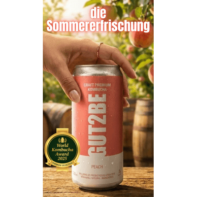 12x GUT2BE Daheim-Qualität CRAFT PREMIUM-Kombucha fermentierter Tee - Pfirsich