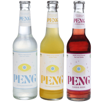 PENG SodaMix 12er (6x Orangensoda + 6x Zitronensoda)