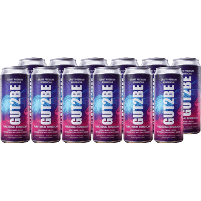 12x GUT2BE Der Löwe – Functional Kombucha