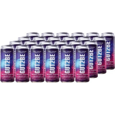 24x GUT2BE Der Löwe – Functional Kombucha