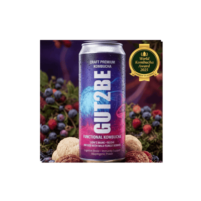 24x Der Löwe – Functional Kombucha