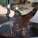 Espressobombe - 3x Craft Espresso von Indie Roasters (1x Espresso 1 | 9 + 1x Espresso 7 | 3 + 1x Espresso 10 | 0) Beauty Shot