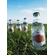 Goldberg Japanese Yuzu Tonic Water