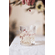 Steinwild Vermouth WHITE 2