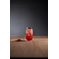 Kakuzo Cherry Bitter 2