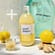 Bio Ingwer Zitrone - Saft