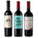 Südamerika Wein Trio - Probierpaket (1x Malbec + 1x Cabernet Sauvignon + 1x Tannat)
