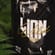 Wild LION Gin 6
