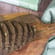 3x Maronibrot Kürbis Bio Brotbackmischung 2