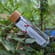 Himalaya Pfeffer Bio