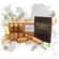 Vita Dulcis Whisky Tasting Box Schottland für Einsteiger (6x Whisky Minis)