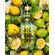 RICORDINO Botanical Spirit Aperitif