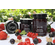 "Erlesene Sinfonie" Beeren Fruchtaufstrich
