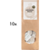 Vorratspack Griechischer Bio Bergtee (100 Teebeutel)