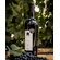 Pozo de Luna Syrah 2017 3