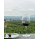 Vinaltura Tinto Bajío 2019 2