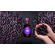 FAIR Açaí Liqueur 2