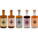 B8B Starting 5 Probierpaket (1x Dry Gin Zitrone + 1x Dry Gin Himbeere + 1x Glüh Gin + 1x Gipfel Gin + 1x Pflaumen Likör)