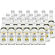 18x Fizzy Fox Hydrate - Lemon Elektrolyt Soda