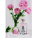 Gentle Gin Pink One - New Western Dry Gin