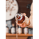 Butterscotch - Golden Caramel Whiskey Liqueur