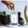 Salvadores Mezcal "con Hierba Santa"