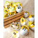 Altenburger Senfei - das größte auf der Welt! Geschenkset