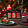 Geschenkset Weihnachten Wild Christmas Box (2x Senf + 1x Grillsauce)