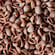 Maroni Pasta - Muscheln