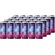 24x Der Löwe – Functional Kombucha