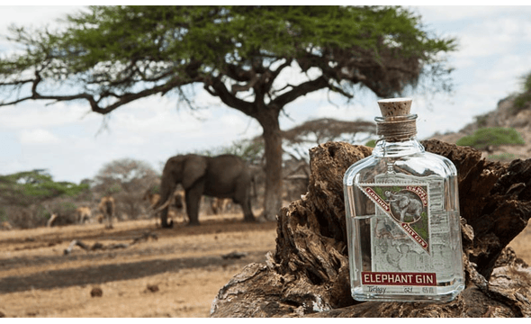 Elephant Gin