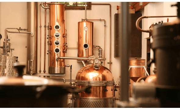 BOHO Gin