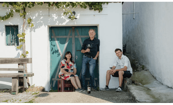 Weingut Norbert Bauer
