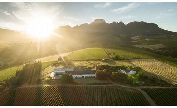 ALTO Wines Estate